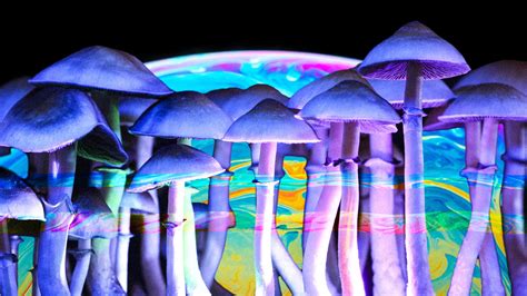  &0183;&32;Colorado becomes the second state, after Oregon, to vote to establish a regulated system for substances like psilocybin and psilocin, the hallucinogens found in some mushrooms. . Psychedelic mushrooms eugene oregon